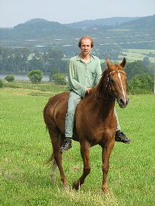 obrazek